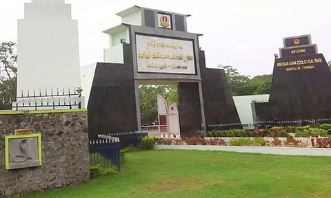 Vandalur Zoo | வண்டலூர் பூங்காவில் 11 நாள் சபாரி சேவைகள் ரத்து: காரணம் இதுதான்