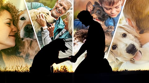 ഉടമയെ രക്ഷിക്കാൻ ജീവൻ വെടിയാൻ മടിയില്ലാത്ത നായ;
ആ വൈകാരിക ബന്ധത്തിനു പഴക്കം 15,000 വര്ഷത്തിലേറെ!