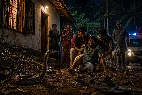 പാമ്പ് കടിയേറ്റാൽ മരണം സംഭവിക്കുന്നത് ഈ പിഴവുകൾ കാരണം! മുറിവിൽ കെട്ടുന്നവരും പാമ്പിനെ തേടി പോകുന്നവരും അറിയാൻ. ഉടൻ ചെയ്യേണ്ടത് ...