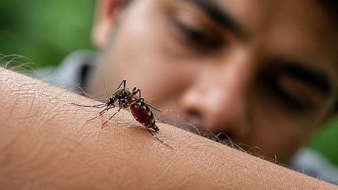 ലക്ഷണങ്ങൾ തിരിച്ചറിഞ്ഞാൽ ജീവൻ രക്ഷിക്കാം; പനിയും ശരീരവേദനയും നിസ്സാരമല്ല! ലോക മലേറിയ ദിനത്തിൽ നാം അറിഞ്ഞിരിക്കേണ്ട മുൻകരുതലുകൾ ഇതാ