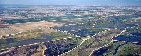 IIT-Ropar to set up hub for technologies in agriculture and water