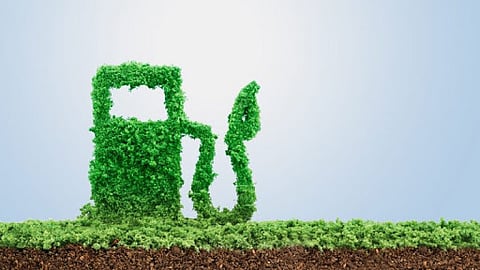 Praj, ARAI to jointly develop application technology for biofuels