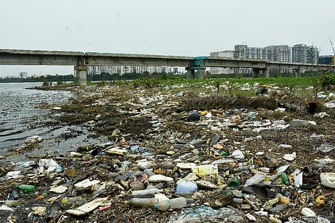 Plastic debris pile up near Adyar estuary