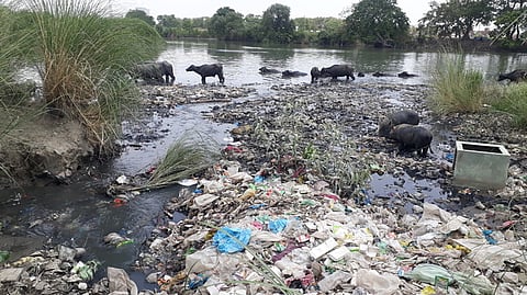 A nullah releases domestic effluent into the Western Jamuna Canal near Azad Nagar of Yamunanagar.