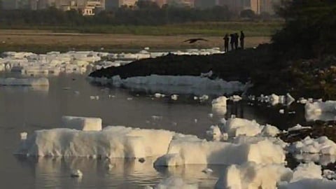 Jojari River in Jodhpur