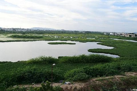 No industrial discharge found at Sellur tank: TNPCB report