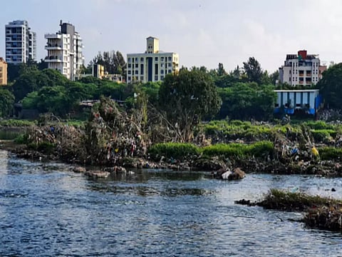 This development has alarmed environmentalists, who said it could adversely affect the flow of the river