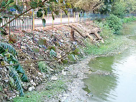 Bengaluru: Japanese method to clean Ulsoor Lake