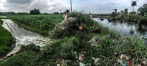 Image for Representation purpose only