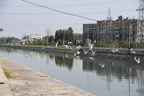 A major focus of the project will be on providing efficient water supply and sanitation services in Ludhiana and Amritsar.