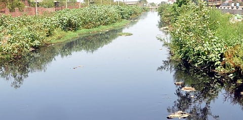 The Tung Dhab Drain