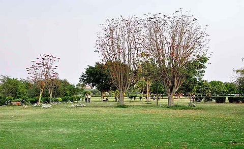 Wastewater Reservoirs to Irrigate Parks in Delhi Planned