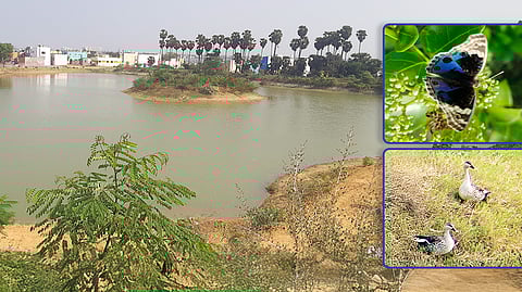 The restored Nagan Thangal Lake is now a home for wildlife and a vital community resource.