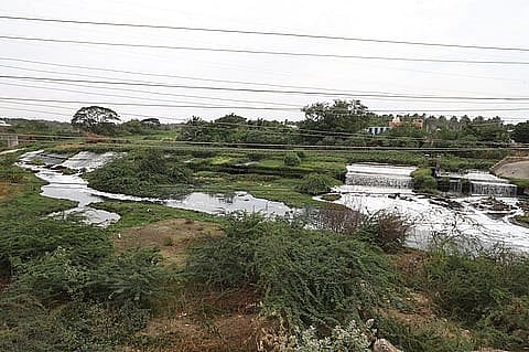 Dark, foaming wastewater flows from concrete drain outlets into a polluted river beside an urban sewage-treatment facility, with buildings and vegetation along the riverbanks.