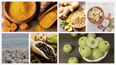 From age-old Ayurvedic remedies to everyday kitchen staples, Indian food is a treasure trove of immunity-boosting ingredients.