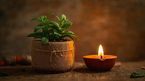 Gifting a plantable item is an act of responsible living, it’s an invitation for the recipient to join the sustainable living movement, turning one person's gift into a small piece of greenery for the planet.