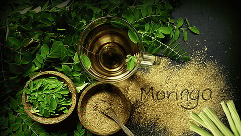 Rich in vitamins, minerals, and antioxidants, moringa leaves and pods support health and immunity