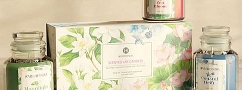 Discover the best holiday fragrance candles, from scented jar candles to aromatic soy wax candles. Create a warm ambience at home with these cozy picks.