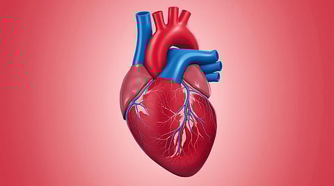 By choosing the right foods, you can support your heart naturally and keep it functioning at its best.