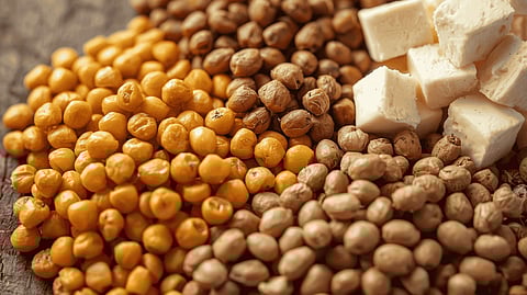 When you take adequate amount of protein, it can support the important body functions like creating hormones, enzymes, maintains immunity, and carries oxygen in blood.