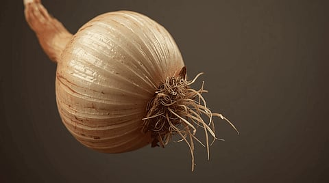 When onion juice is applied to hair and scalp, it offers additional sulfur that leads to growth of strong and thick hair by preventing hair fall.