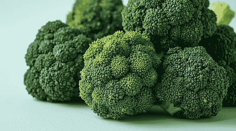 Steaming and microwaving can also help in releasing trapped nutrients that become increasingly accessible than in raw foods.