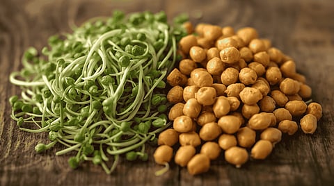 High fibre food can help you feel full for longer duration that can effectively control your hunger pangs and unnecessary snacking.