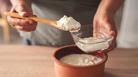 There has been widespread belief for ages that eating curd at night may cause cold and indigestion.