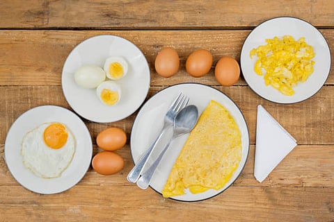 Individuals relish them in the form of boiled eggs, omelette, scrambled eggs, fried eggs, egg curry, and egg biryani, among others.