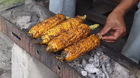 Street food often reminds us of crispy, deep-fried treats and high-calorie snacks that we love to enjoy from time to time.
