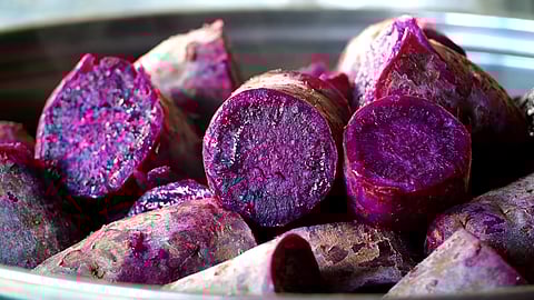 The presence of higher anthocyanins intake can lead to reduced cholesterol levels, better vision and eye health, and decreased heart disease risk.