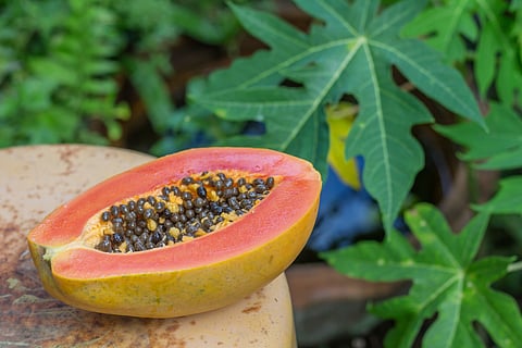 Papaya improves digestion, boosts immunity, and contributes to overall gut health.