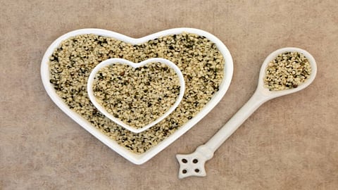 Regular consumption of hemp seeds will protect brain, heart, decrease inflammation, enhance skin conditions, and offer relief from rheumatoid arthritis.