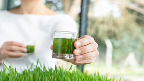 Wheatgrass juice is an excellent source of enzymes and protein that can boost the energy levels and fight harmful bacteria in the body thus enhancing overall immunity.