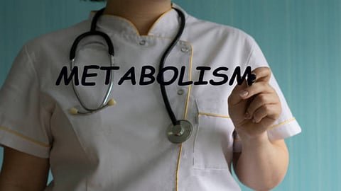 Consumption of excessively low calories can lead to a decline in metabolism.