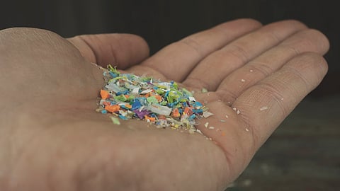 Whole‑food diets and probiotics can help the body trap and flush out harmful nano-plastics.