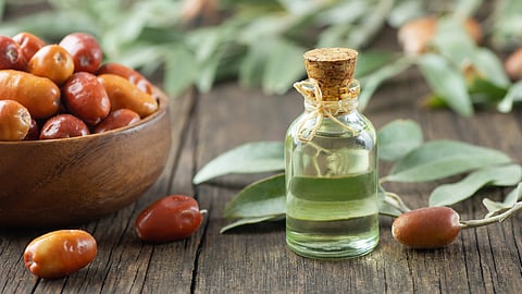 Jojoba oil a skincare essential.