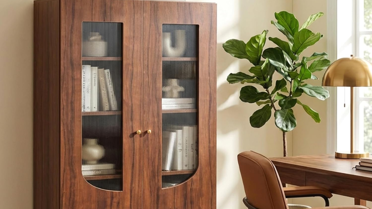 Whether you prefer a compact, portable option or a big and aesthetic piece, the right kind of bookshelf will keep your books safe and neatly arranged.