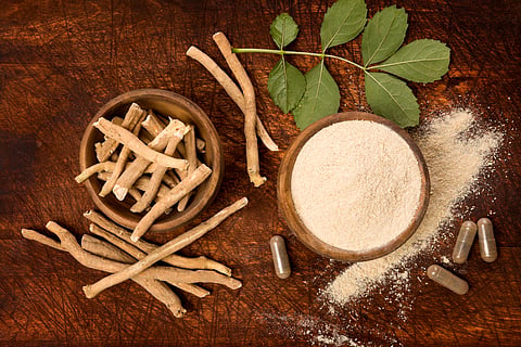 Benefits of ashwaghanda
