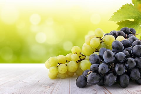 Green grapes vs black grapes