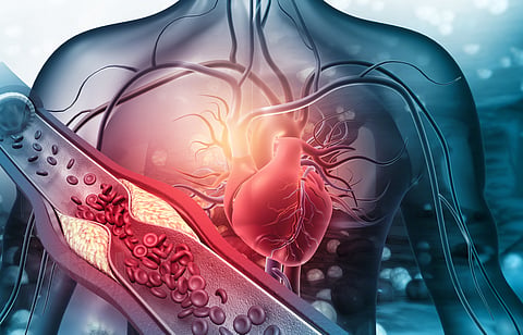 Good habits that support healthy blood vessels and circulation