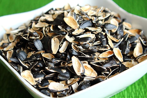 What eating sunflower seeds shells do to your gut?