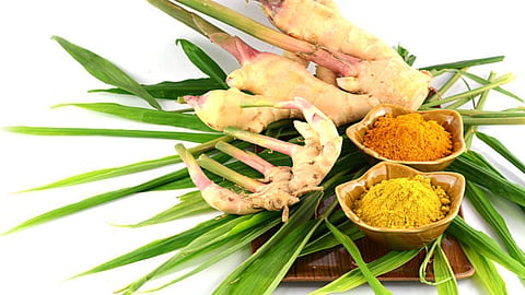 Lifestyle changes and certain beneficial herbs may support body’s natural inflammatory response.