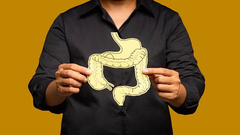 Fibre is one of the most significant nutrients for digestive health yet many individuals consume less than recommended amount.