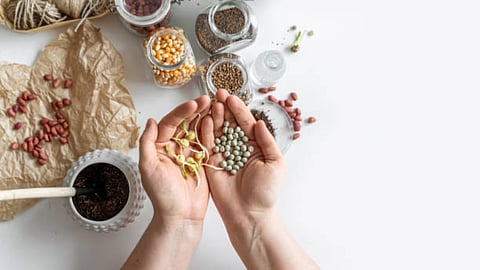 Each seed provides different nutrients and potential benefits and the best choice will depend on your health goals.