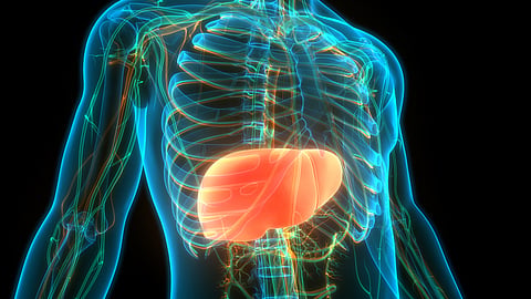 Simple lifestyle changes that can help revive fatty liver