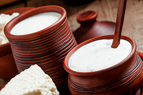 Curd vs hung curd: Which is better?