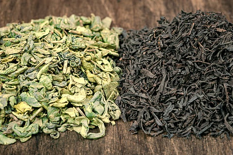 Green Tea vs Black Tea: Which One Wins?