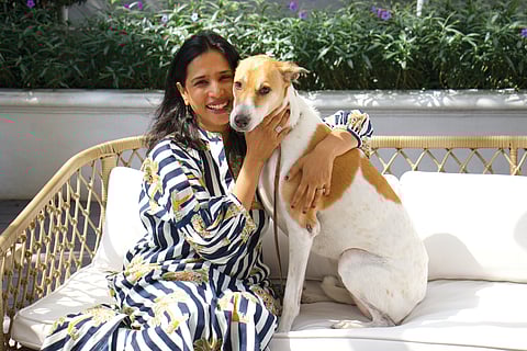 Chaos in a Coupe: A Love Letter to Train Travel, Dogs, and Self-Discovery