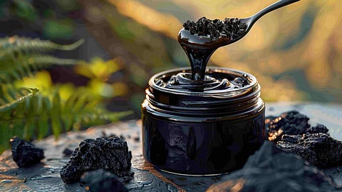 Rock to Regimen: What Is It About Shilajit?